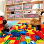 Why Open Play Is at the Center of Third Space